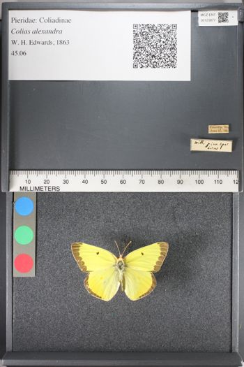 Media type: image;   Entomology 123877